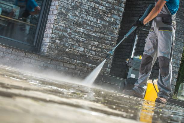 Best House Exterior Washing  in Hill N Dale, FL