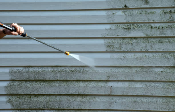 Animal Enclosure Cleaning in Hill N Dale, FL